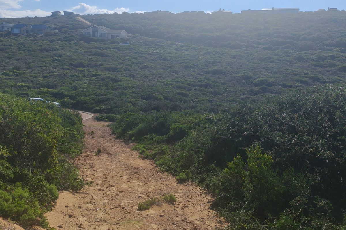 A view of a vacant residential plot featuring natural coastal vegetation and a dirt access path leading up the hillside.