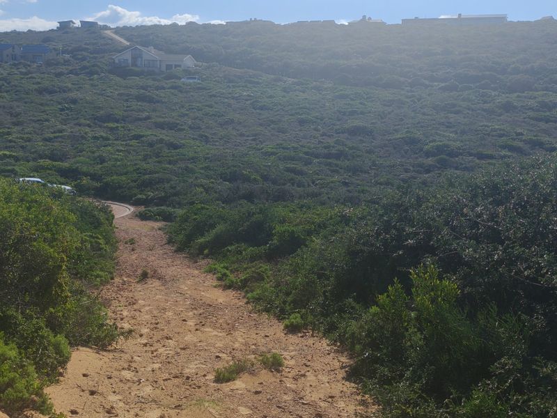 A view of a vacant residential plot featuring natural coastal vegetation and a dirt access path leading up the hillside.