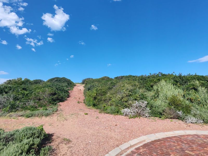 A view of a vacant residential plot featuring a gravel path leading up a gentle slope surrounded by natural coastal vegetation.