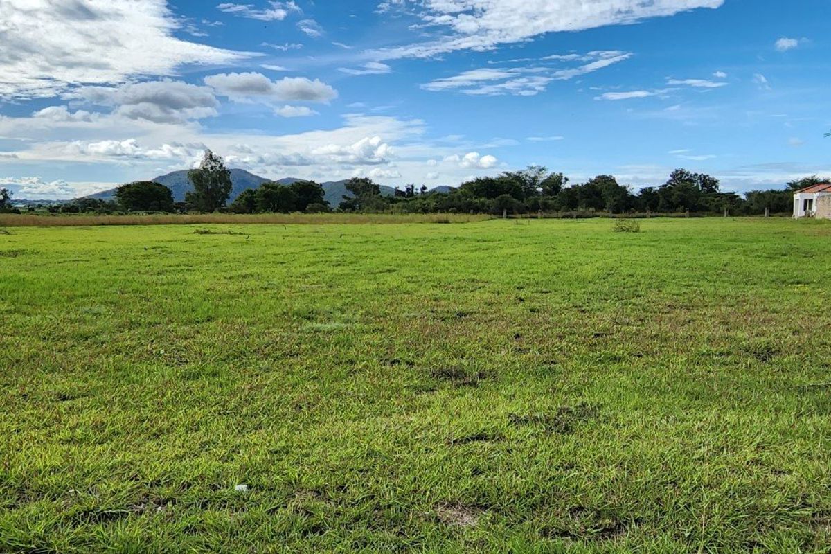 Vacant Stand for Sale - Photo 2
