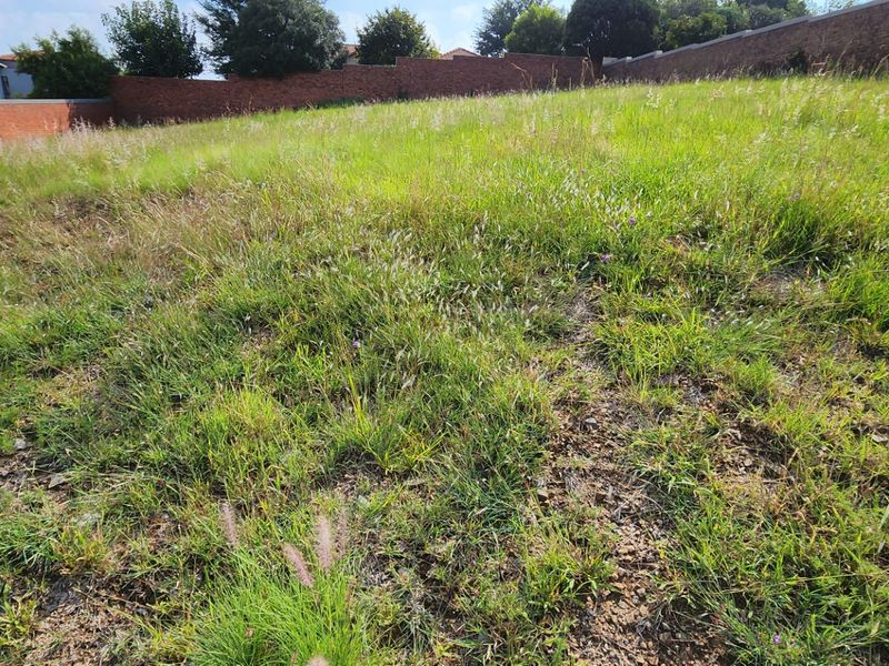 A vacant residential plot featuring natural grass coverage and enclosed by a brick perimeter wall.