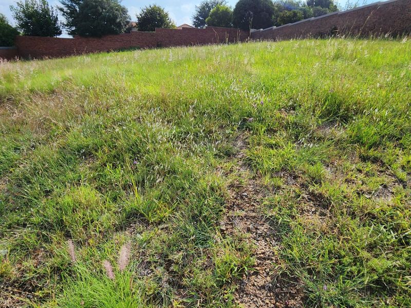 A vacant residential plot featuring natural grass coverage and enclosed by a perimeter brick wall.