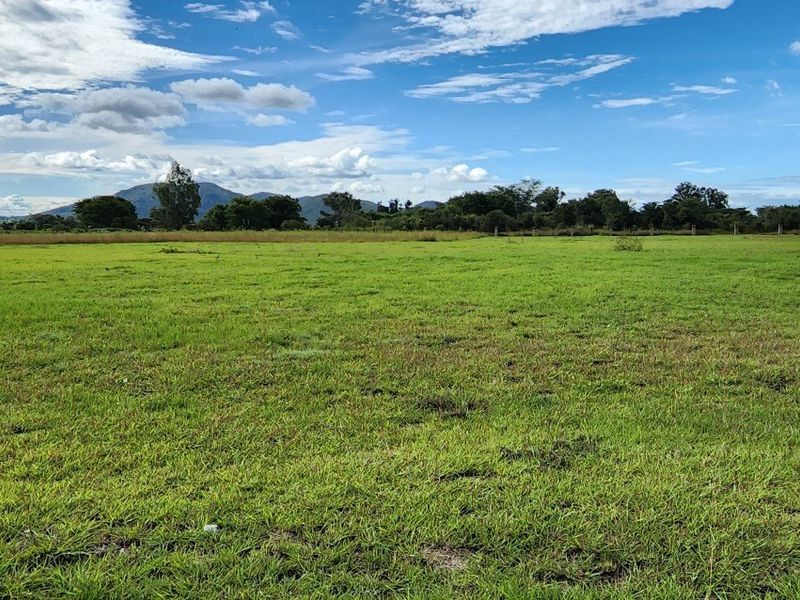A wide, open residential vacant land plot featuring level grass terrain with distant mountain views and surrounding neighborhood context.