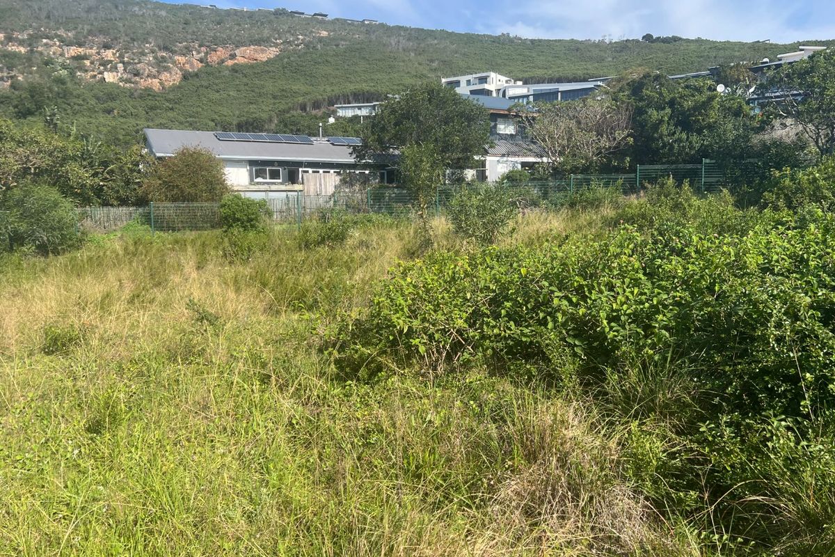 Level Coastal Stand Near New Mall Development in Sought -after Whale Rock Plettenberg Bay - Photo 3