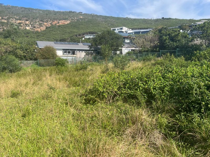 Level Coastal Stand Near New Mall Development in Sought -after Whale Rock Plettenberg Bay - Photo 3