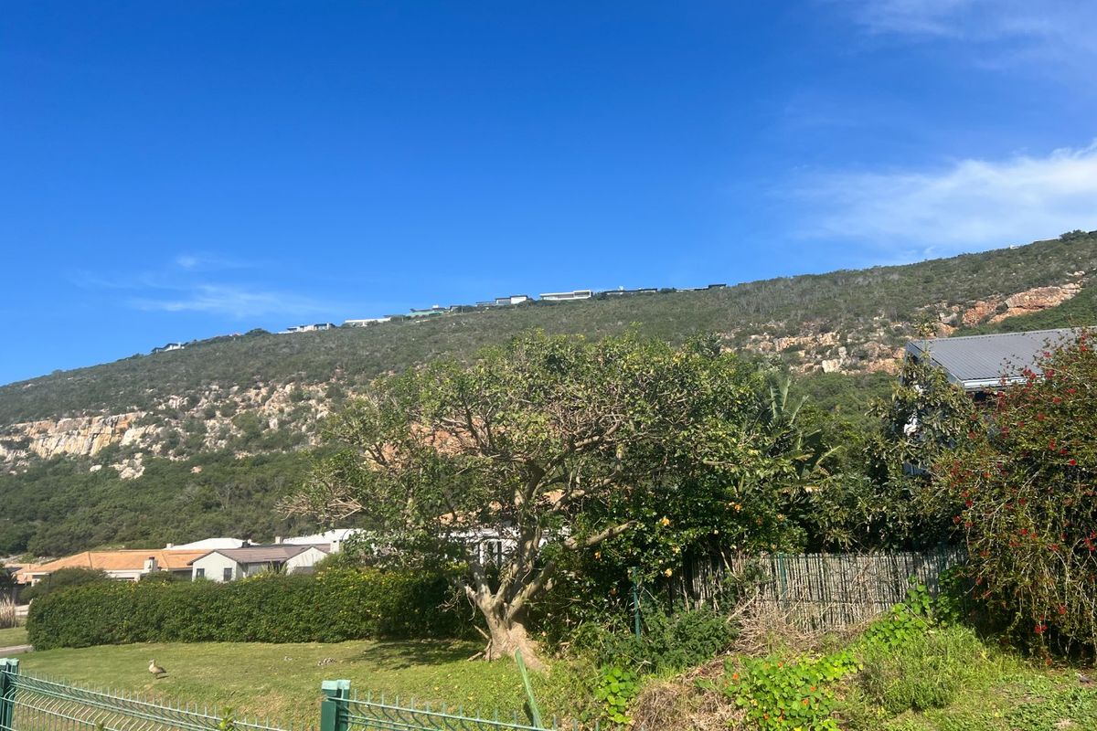 Level Coastal Stand Near New Mall Development in Sought -after Whale Rock Plettenberg Bay - Photo 5