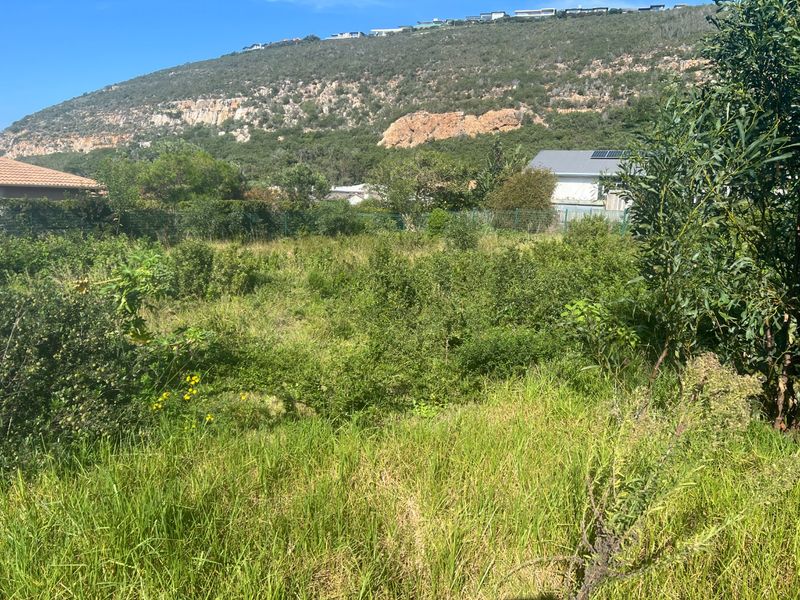 Level Coastal Stand Near New Mall Development in Sought -after Whale Rock Plettenberg Bay - Photo 10