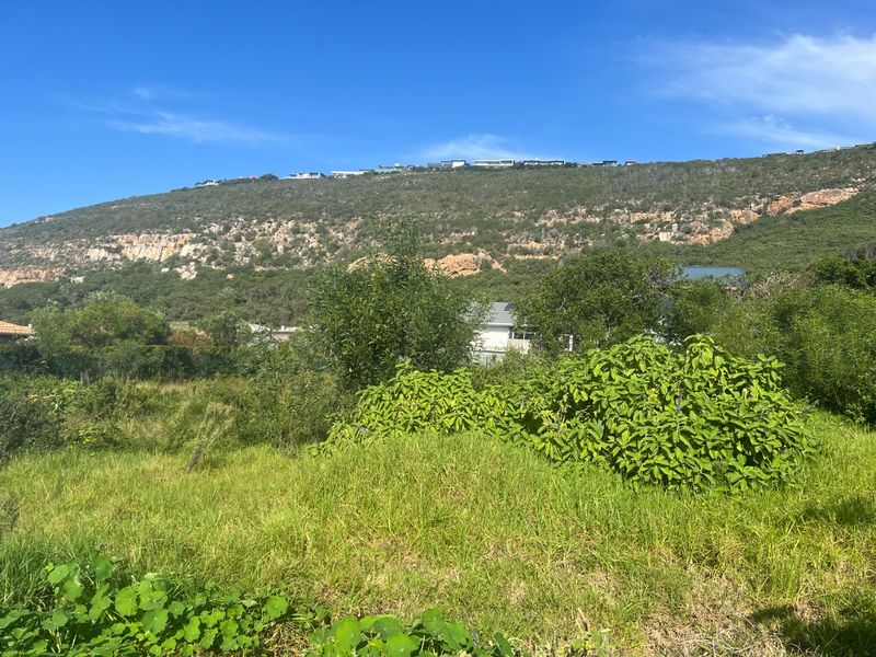 Level Coastal Stand Near New Mall Development in Sought -after Whale Rock Plettenberg Bay - Photo 9