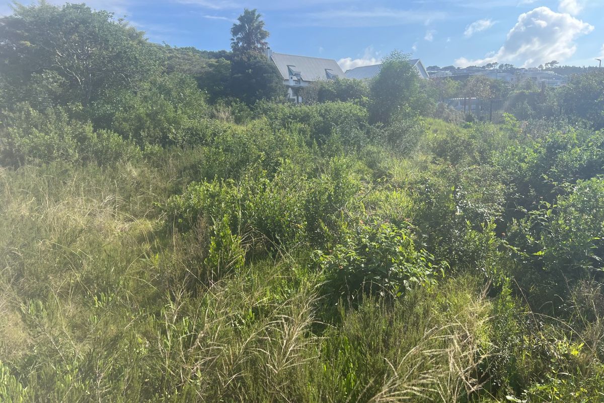 Level Coastal Stand Near New Mall Development in Sought -after Whale Rock Plettenberg Bay - Photo 4