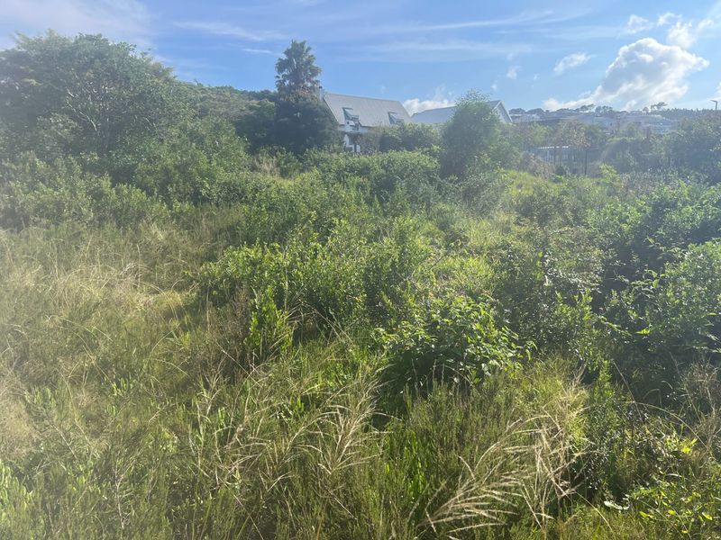 Level Coastal Stand Near New Mall Development in Sought -after Whale Rock Plettenberg Bay - Photo 4