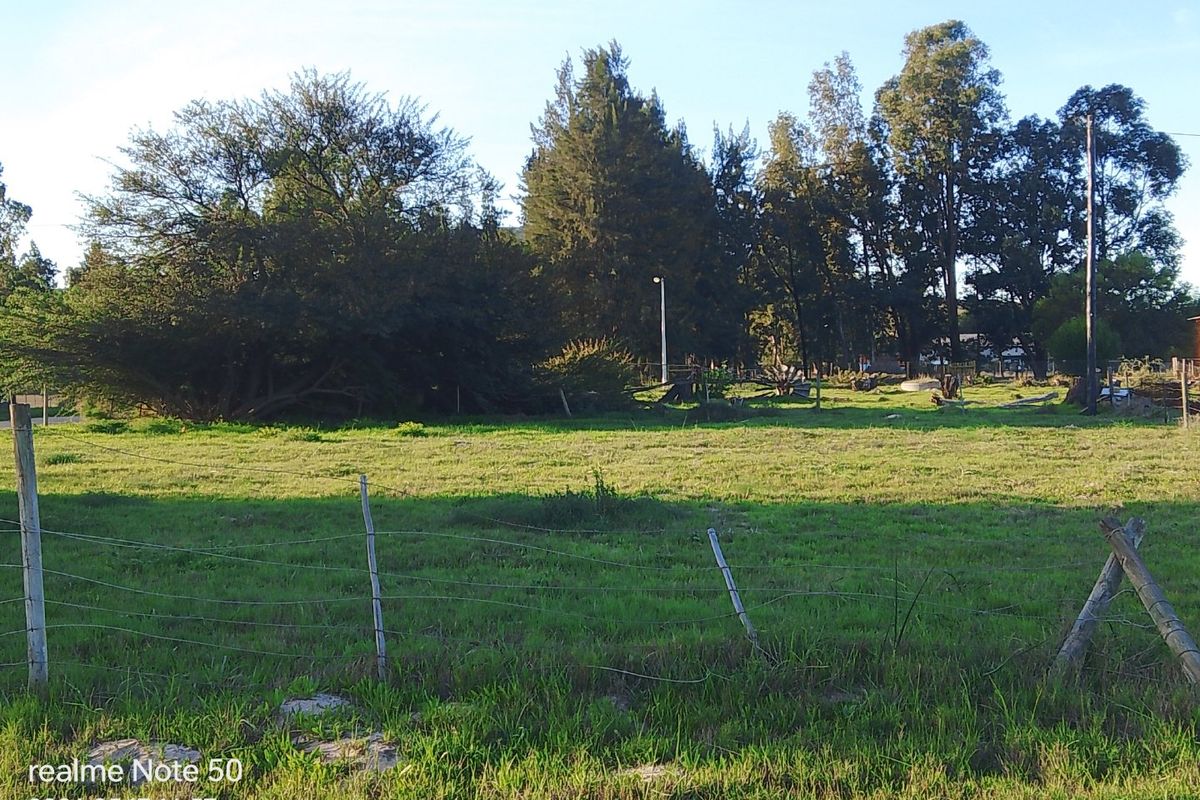 A view of a vacant residential plot featuring grassy terrain, mature trees, and existing wire perimeter fencing.