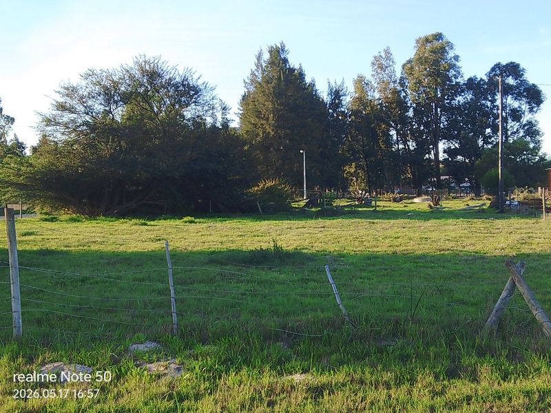 A view of a vacant residential plot featuring grassy terrain, mature trees, and existing wire perimeter fencing.