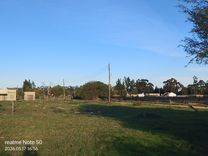 A view of a vacant residential plot featuring open grass, perimeter fencing, and utility poles, with neighbouring properties visible in the background.