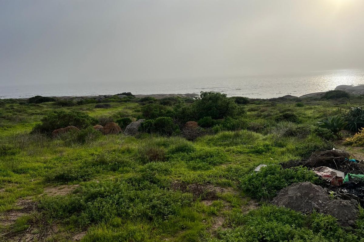 A scenic view of the coastal landscape and natural vegetation, showcasing the property's proximity to the ocean.