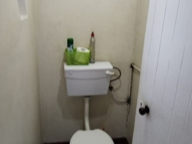 A compact, functional guest toilet featuring a standard white ceramic suite and a traditional timber door.