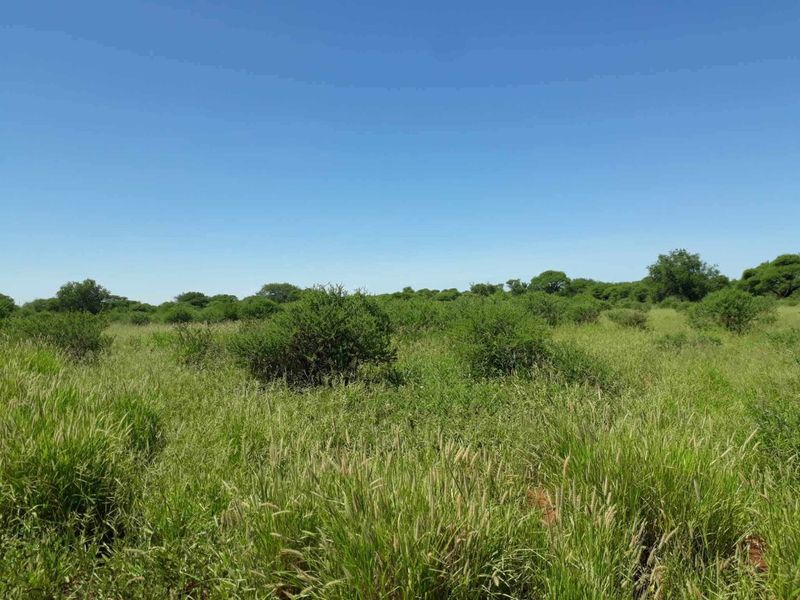 Unlock endless possibilities with this vacant  land - Photo 1