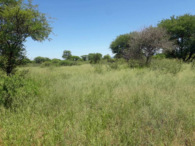 Unlock endless possibilities with this vacant  land - Photo 2