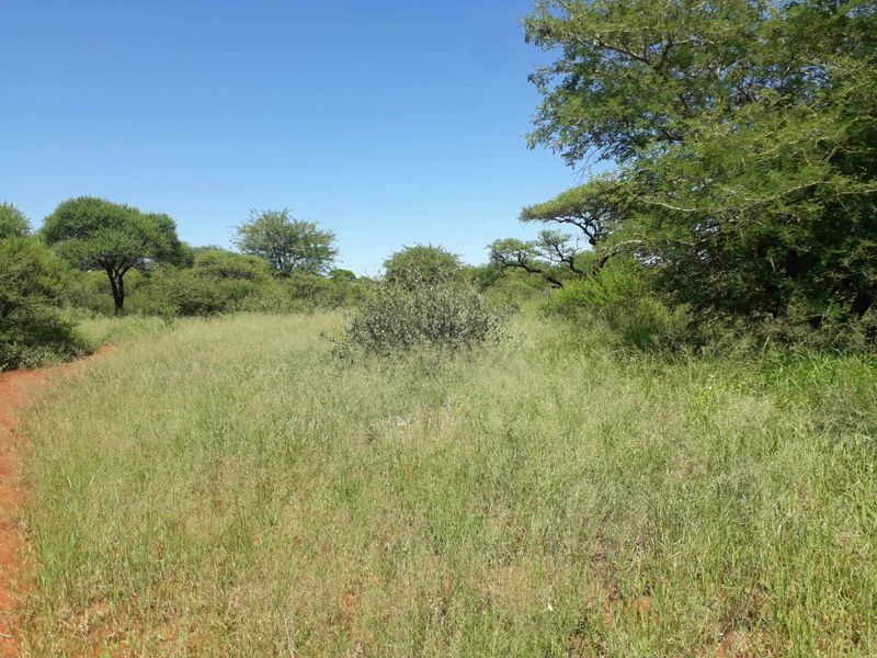 Unlock endless possibilities with this vacant  land - Photo 3