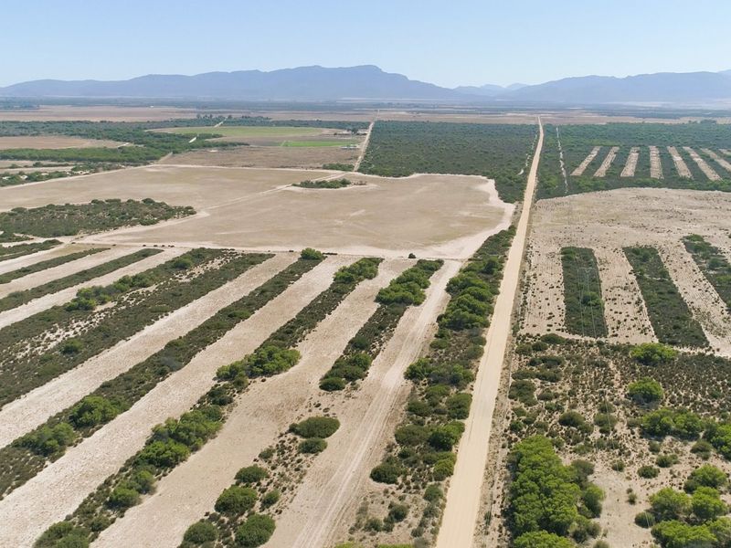 390ha Farm for Sale in Bergrivier Rural - Photo 7
