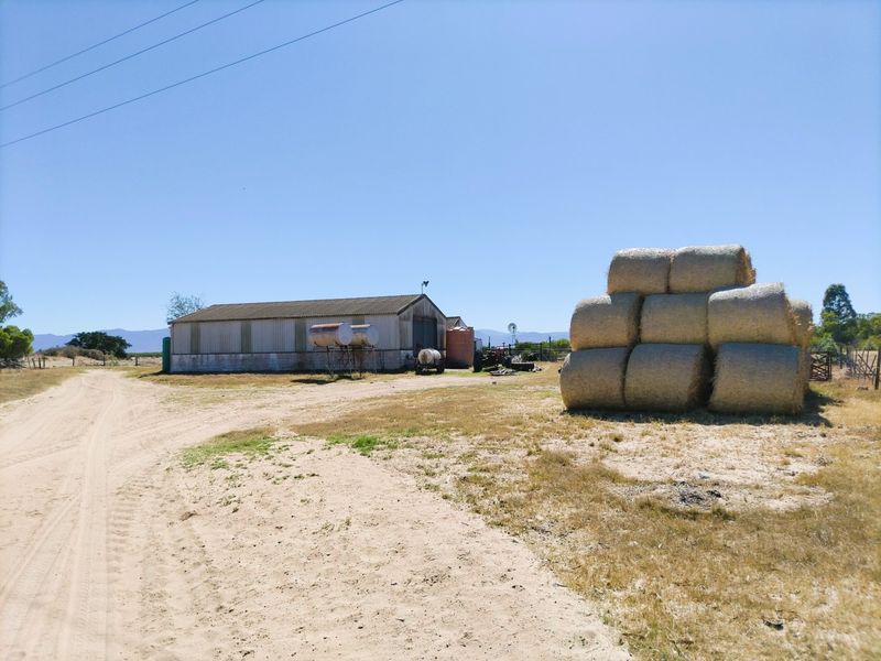 390ha Farm for Sale in Bergrivier Rural - Photo 5
