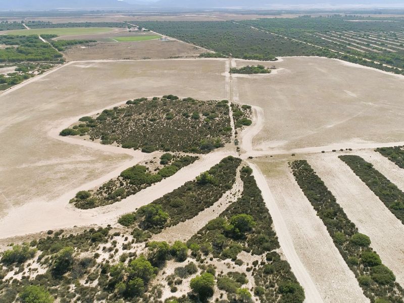 390ha Farm for Sale in Bergrivier Rural - Photo 10