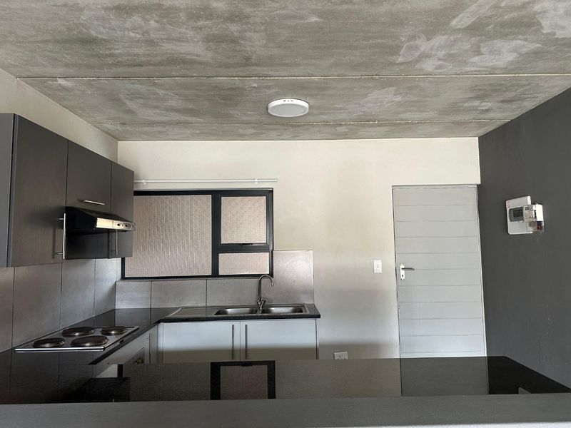 Modern kitchen featuring dark cabinetry, granite countertops, an electric hob with extractor, and a unique exposed concrete ceiling finish.