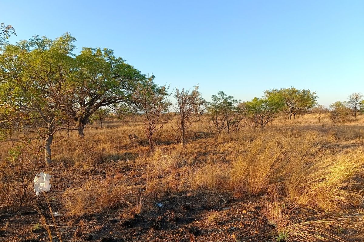 Prime Development Opportunity – 22 052 sqm Investment Land in Bendor Ext 126 - Photo 3