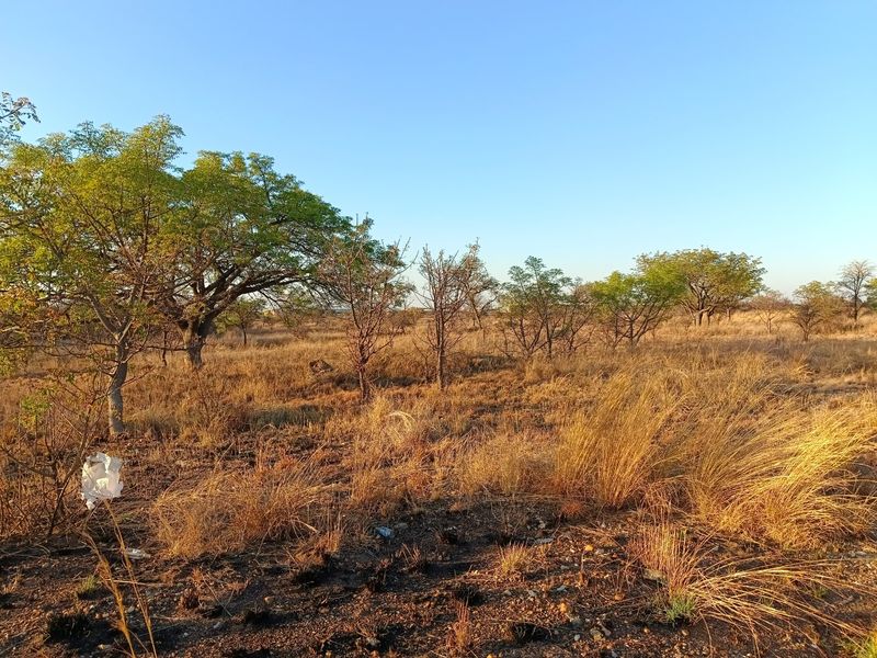 Prime Development Opportunity – 22 052 sqm Investment Land in Bendor Ext 126 - Photo 3