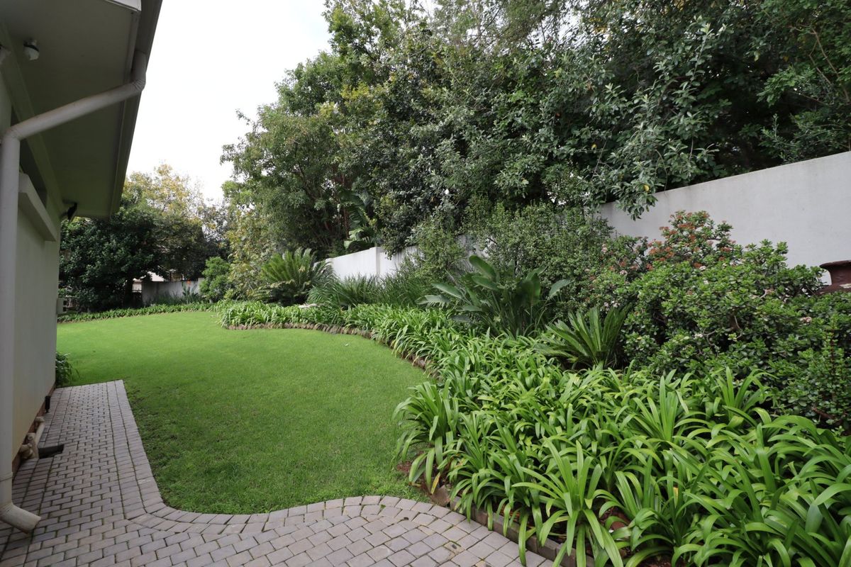 Modern Estate Living with Full Solar & Equestrian Lifestyle in Rietvalleirand - Photo 4