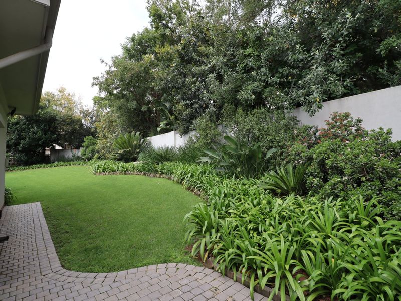 Modern Estate Living with Full Solar & Equestrian Lifestyle in Rietvalleirand - Photo 4