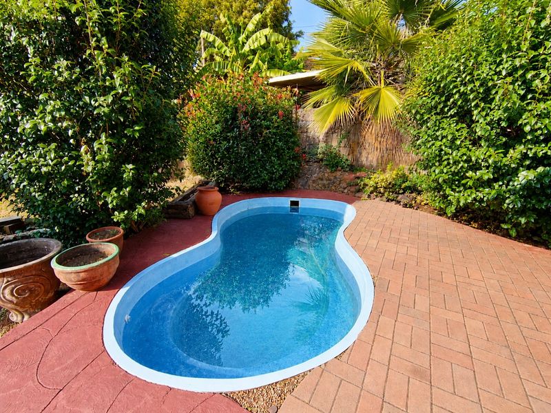A kidney-shaped swimming pool set within a landscaped garden featuring paved patio areas and mature greenery.
