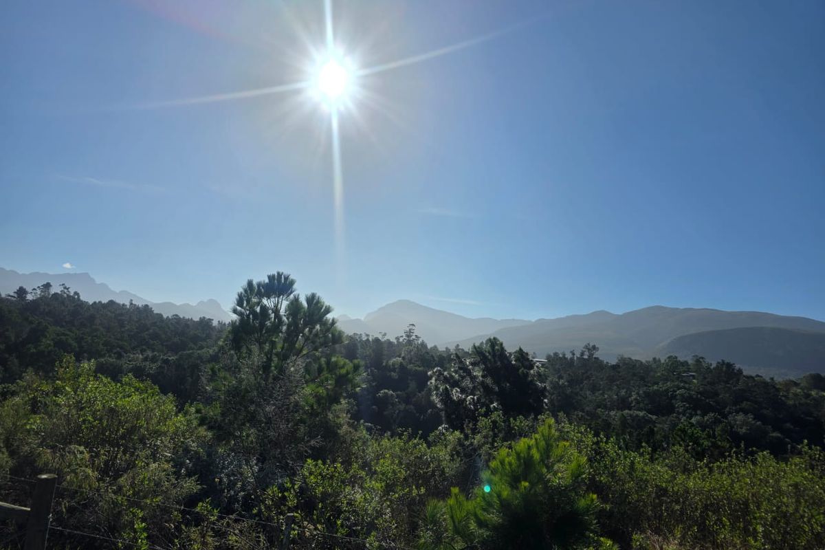 Sweeping Mountain Views & Endless Potential in Wilderness Heights. - Photo 4