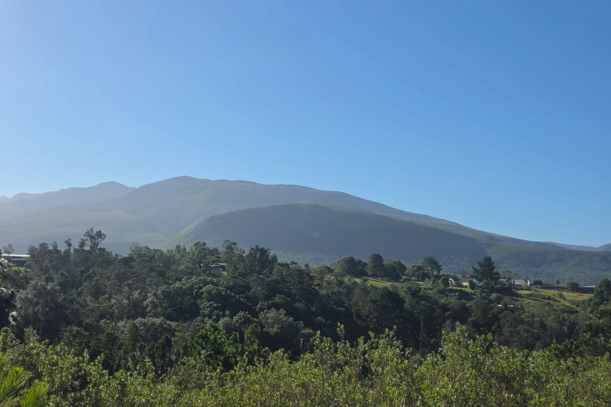 Sweeping Mountain Views & Endless Potential in Wilderness Heights. - Photo 2