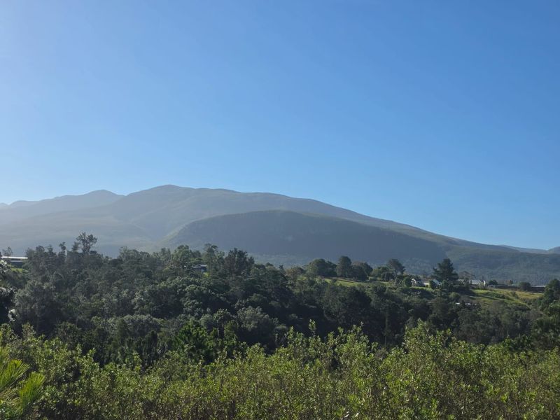 Sweeping Mountain Views & Endless Potential in Wilderness Heights. - Photo 2