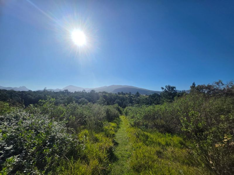 Sweeping Mountain Views & Endless Potential in Wilderness Heights. - Photo 1