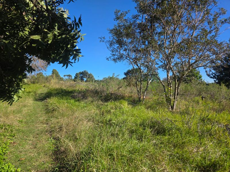 Sweeping Mountain Views & Endless Potential in Wilderness Heights. - Photo 9