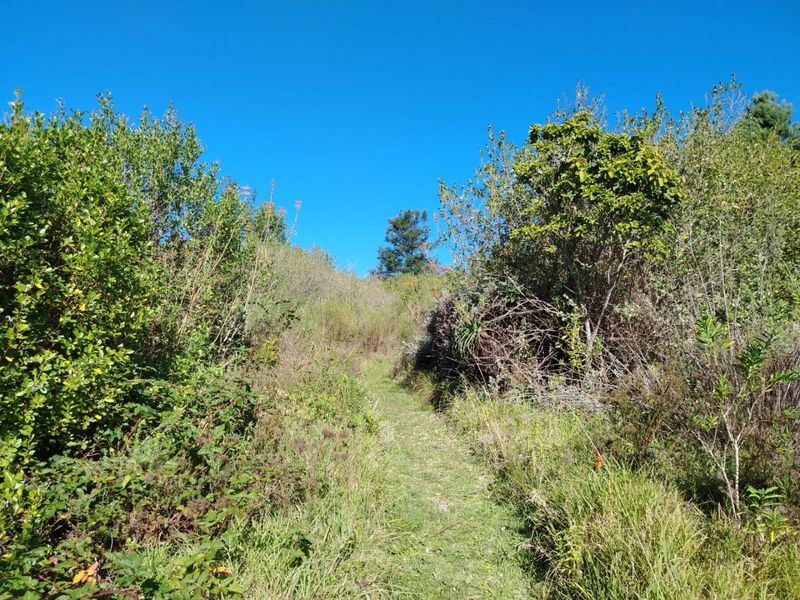 Sweeping Mountain Views & Endless Potential in Wilderness Heights. - Photo 10