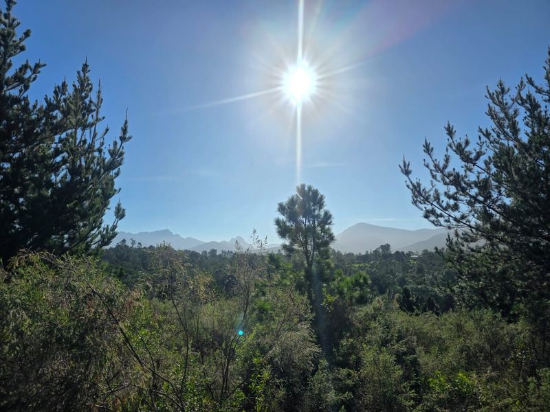 Sweeping Mountain Views & Endless Potential in Wilderness Heights. - Photo 8