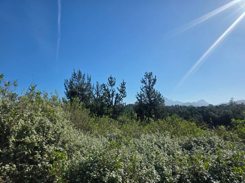 Sweeping Mountain Views & Endless Potential in Wilderness Heights. - Photo 7