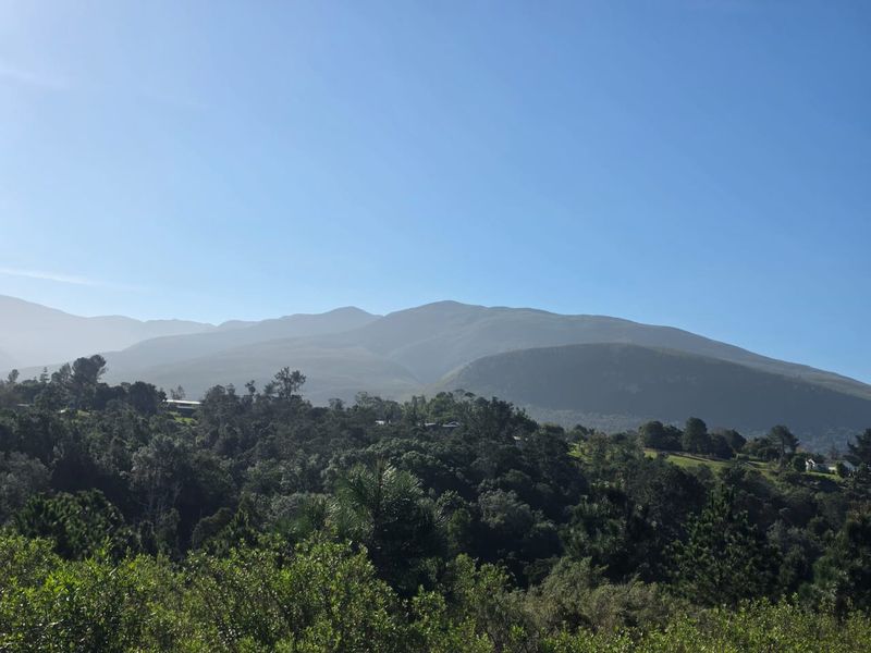 Sweeping Mountain Views & Endless Potential in Wilderness Heights. - Photo 6
