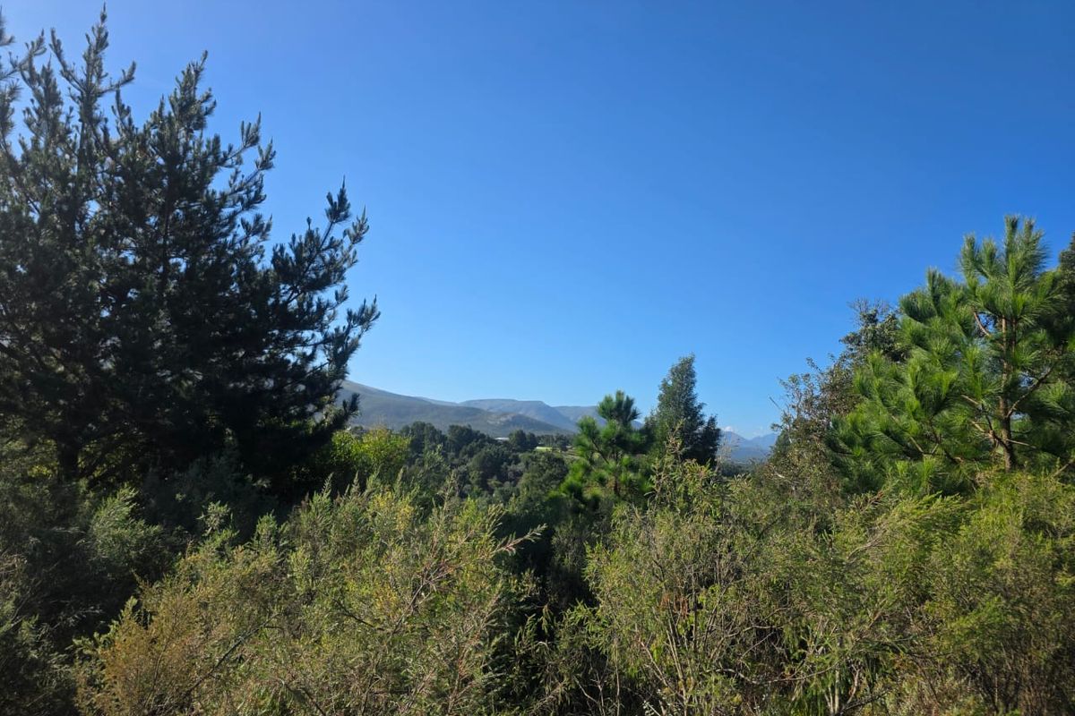 Sweeping Mountain Views & Endless Potential in Wilderness Heights. - Photo 3