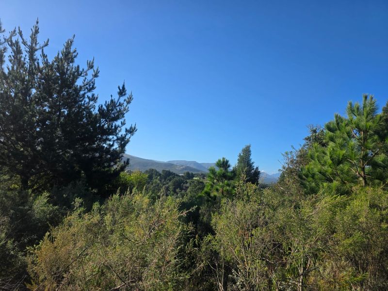 Sweeping Mountain Views & Endless Potential in Wilderness Heights. - Photo 3