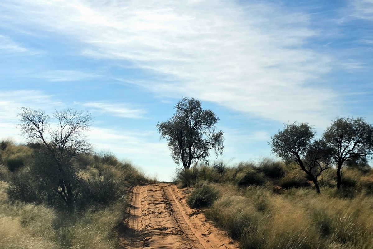 Exceptional Livestock Farm in the Heart of the Central Kalahari - Photo 5
