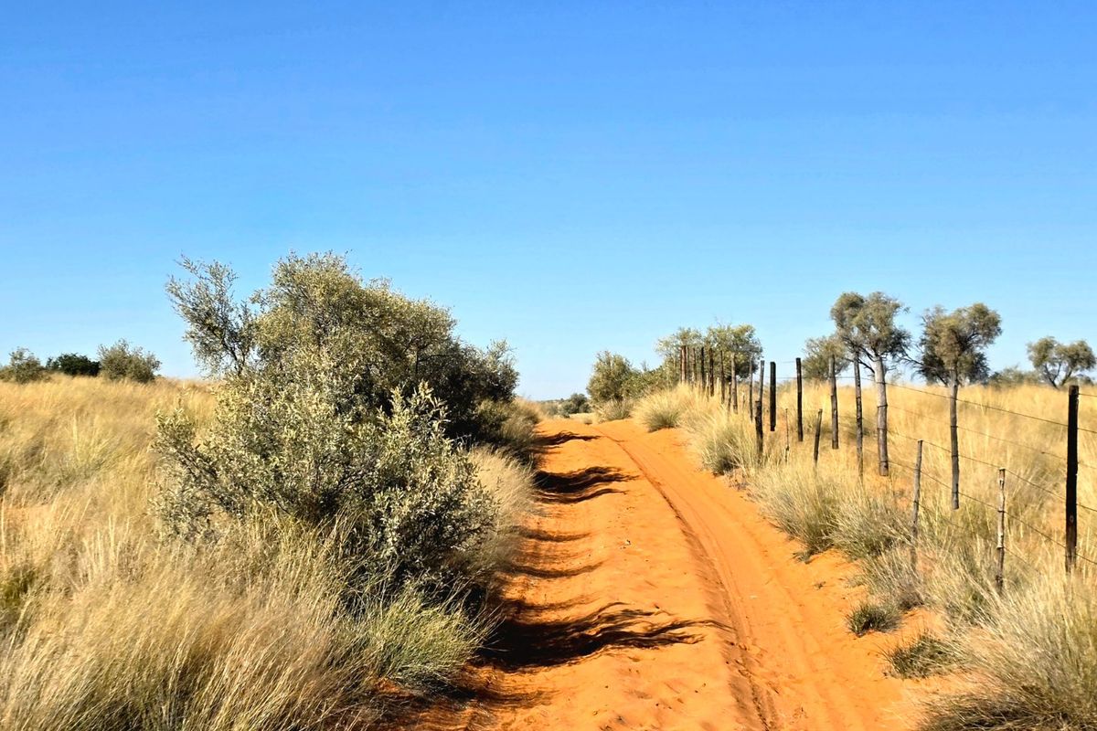 A rural dirt track leading through open veld, bordered by a wire fence and natural vegetation under a clear blue sky.