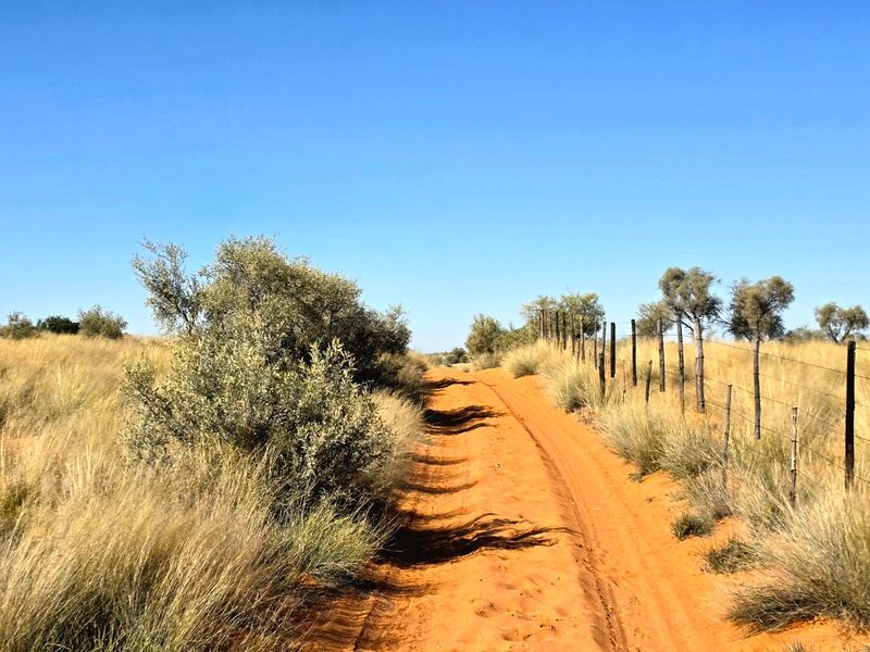 A rural dirt track leading through open veld, bordered by a wire fence and natural vegetation under a clear blue sky.