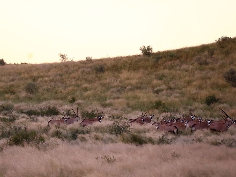 A scenic view of the expansive natural landscape and grassland on the farm property.