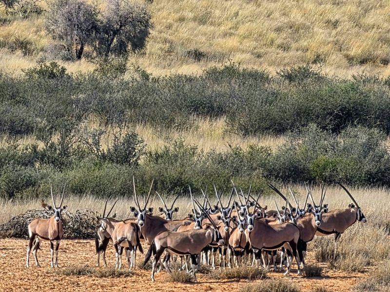 A scenic view of the expansive natural landscape and wildlife on the farm property.
