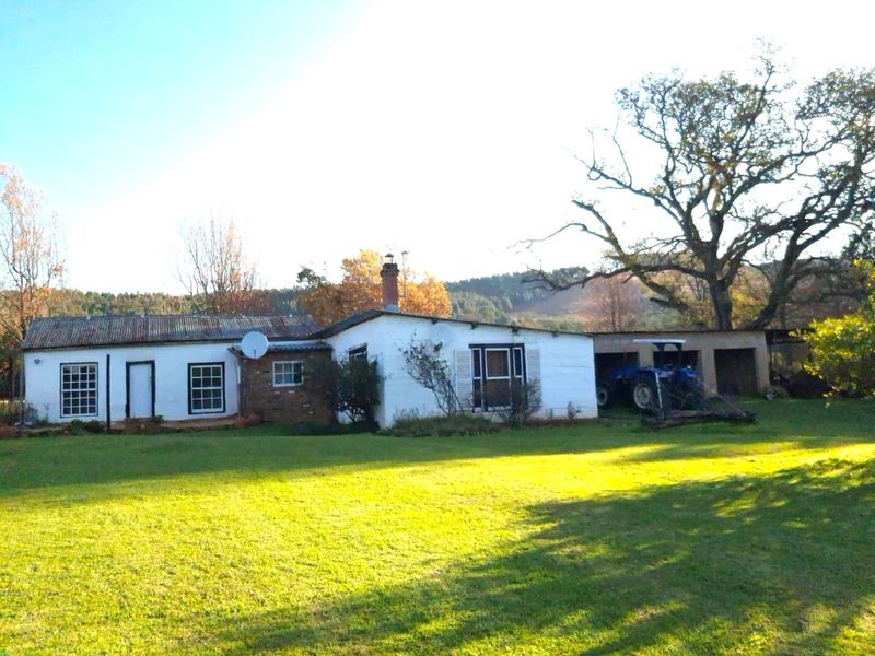 A 3.2 Hectare Rare Midlands Heritage Estate with Endless Potential for Equestrian, Business or Residential- Nottingham, Midlands - Photo 9