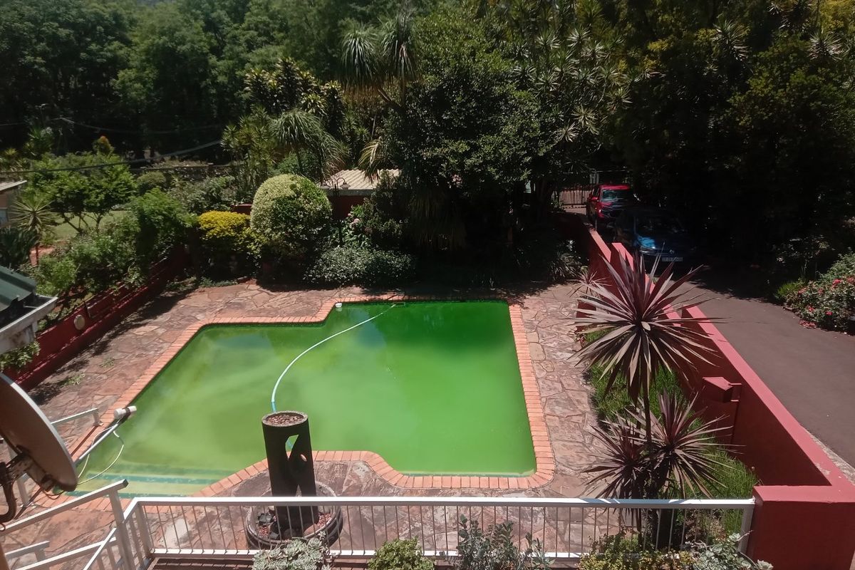 Well Maintained Double Storey Freestanding Family Home with Pool in Sought after Suburb- Townbush Road, Ferncliffe, Pmb - Photo 5