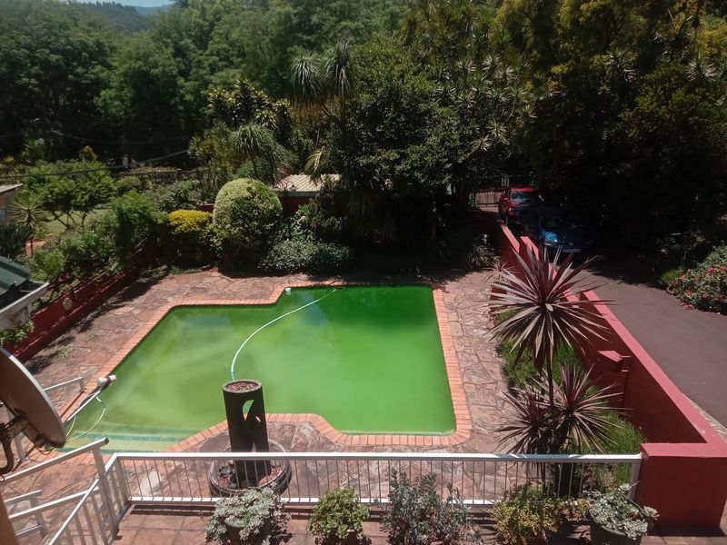 Well Maintained Double Storey Freestanding Family Home with Pool in Sought after Suburb- Townbush Road, Ferncliffe, Pmb - Photo 5